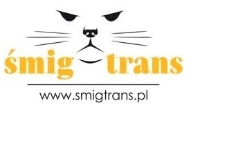 smig trans logo